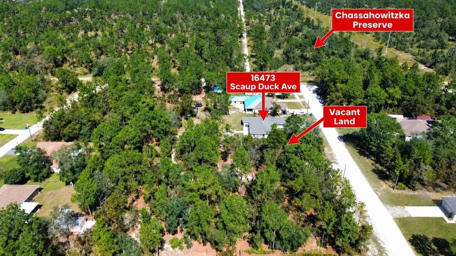 16473 Scaup Duck Avenue, Brooksville, FL 34614 - #3