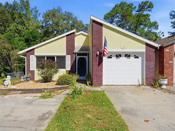 10 Chinaberry Circle, HOMOSASSA, FL 34446
