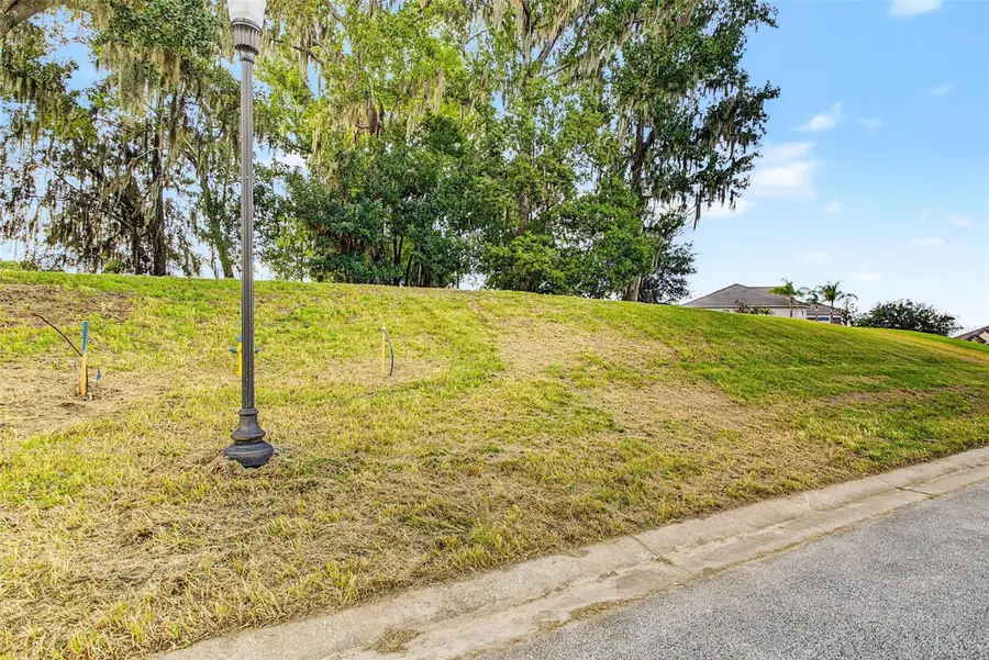 13620 Carnoustie Cir, Dade City, FL 33525 - #2