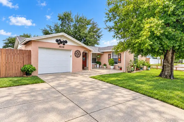10110 Moores Mill Court, TAMPA, FL 33615