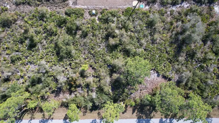 12181 Conroy Avenue, Port Charlotte, FL 33981 - #3