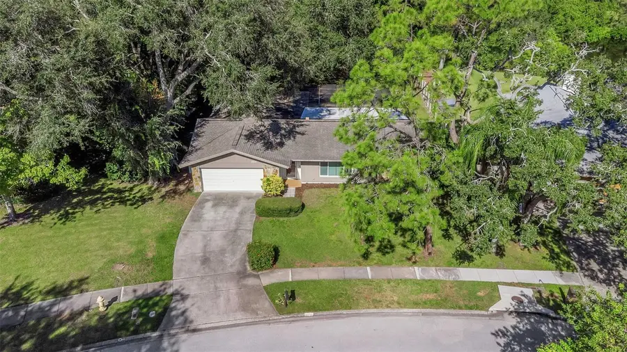 1926 Brae Moor Drive, Dunedin, FL 34698 - #3