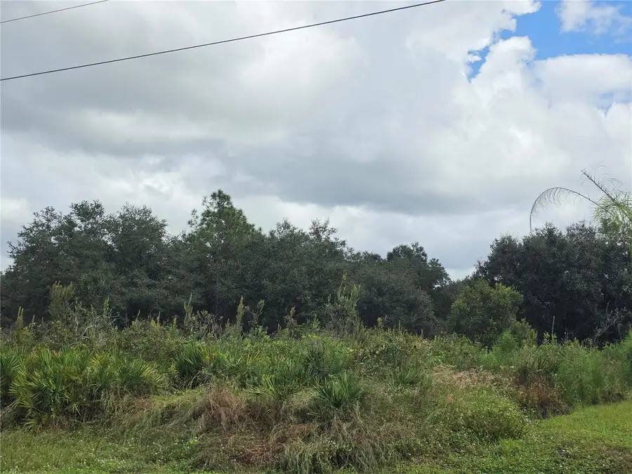 1514 Richmond Avenue N, Lehigh Acres, FL 33972 - #3