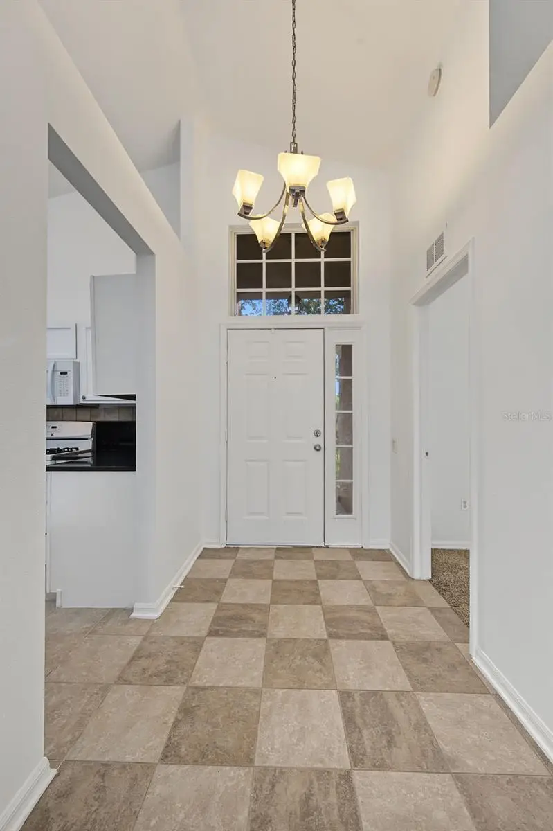 29947 Morningmist Drive, Wesley Chapel, FL 33543 - #3