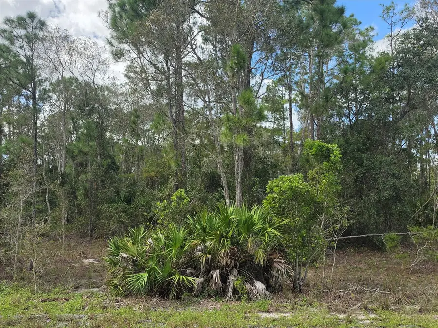 1012 Kodiak Avenue, Lehigh Acres, FL 33974 - #2