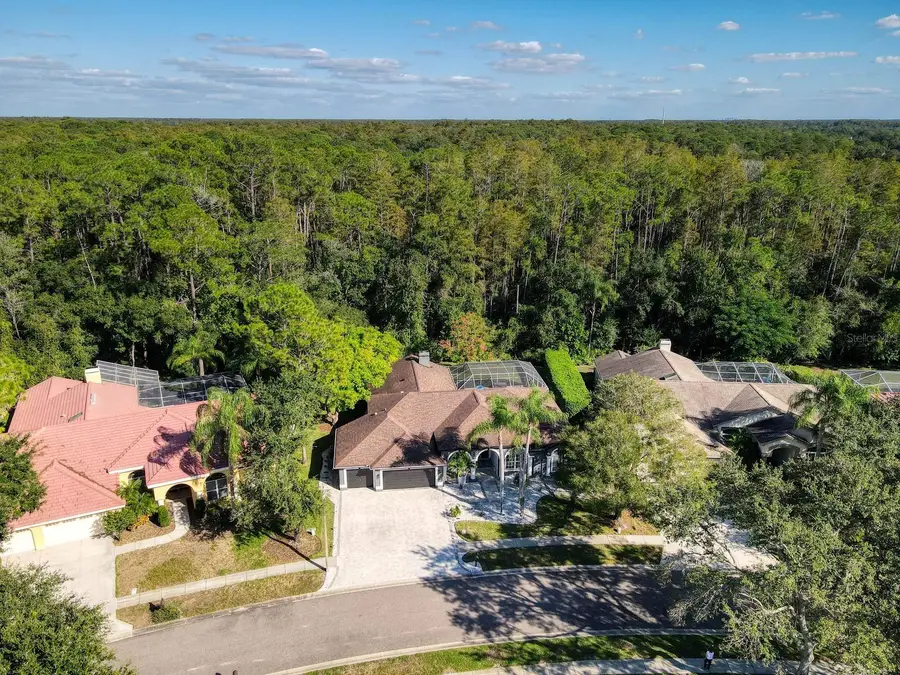 4175 Kirkaldy Drive, Palm Harbor, FL 34685 - #3