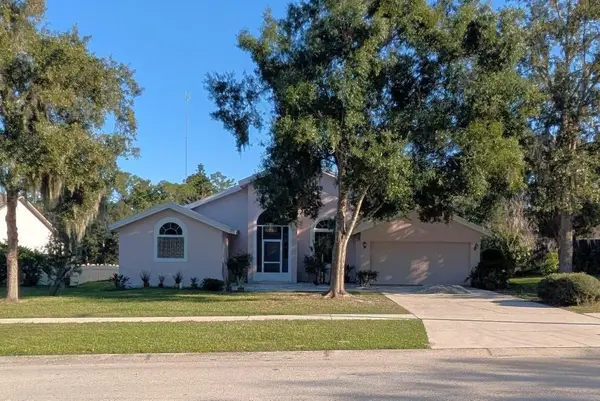 10120 Sedgebrook Drive, RIVERVIEW, FL 33569