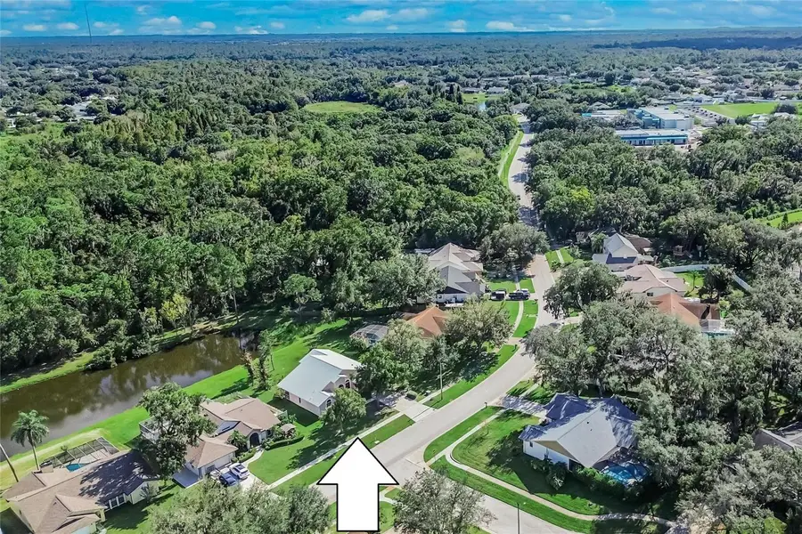 10120 Sedgebrook Drive, Riverview, FL 33569 - #3