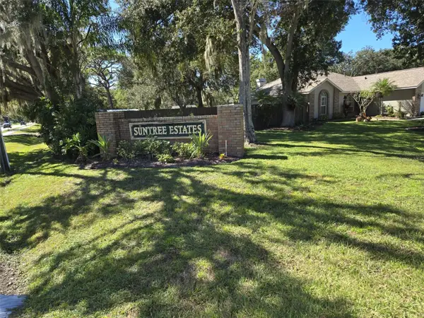 10407 Kankakee Lane, RIVERVIEW, FL 33578
