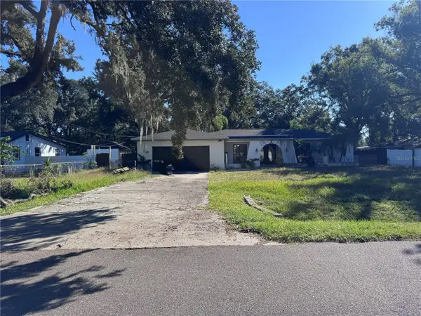 8205 N Fremont Avenue, TAMPA, FL 33604