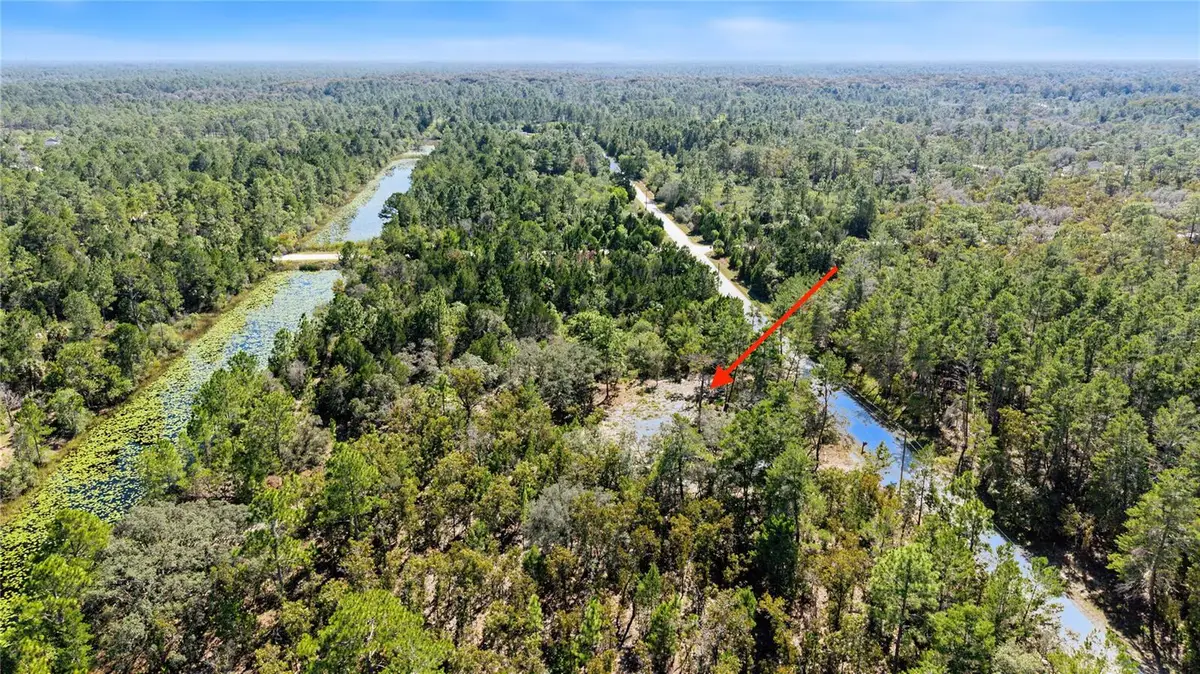 18182 Rapidan Road, Weeki Wachee, FL 34614 - #1