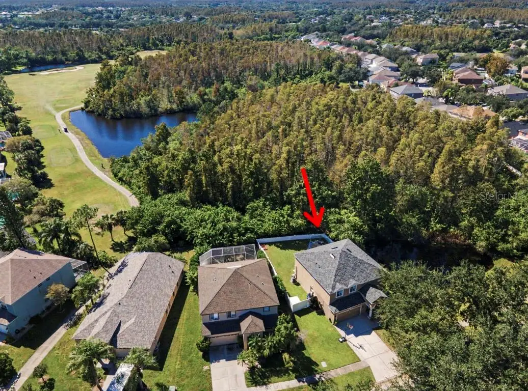 19266 Fishermans Bend Drive, Lutz, FL 33558 - #1