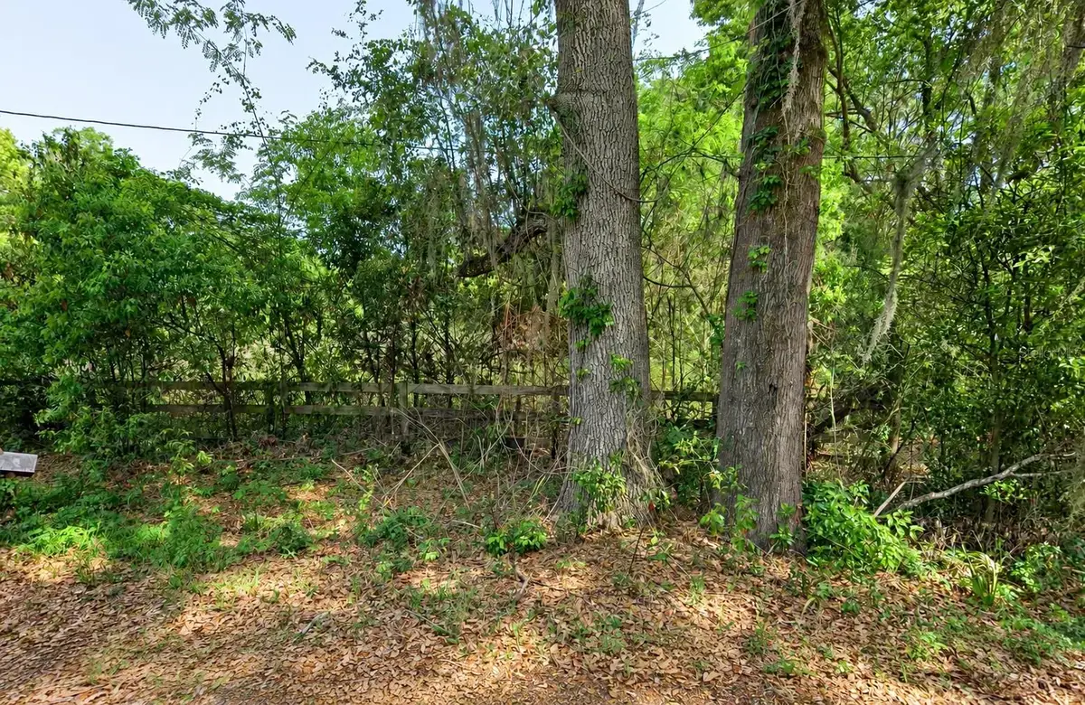 NE 175th Street, Citra, FL 32113 - #1