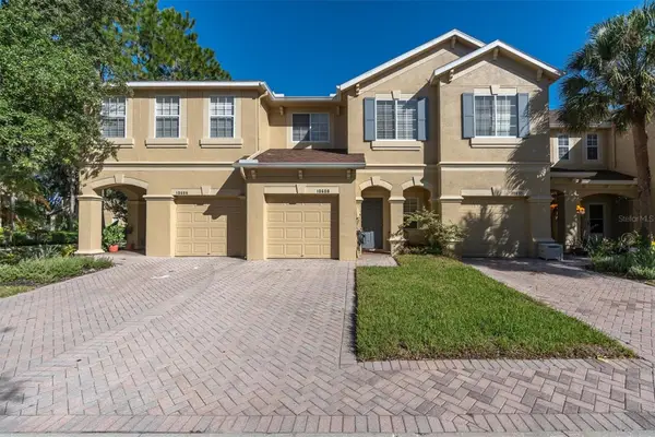 10608 Shady Falls Court, RIVERVIEW, FL 33578