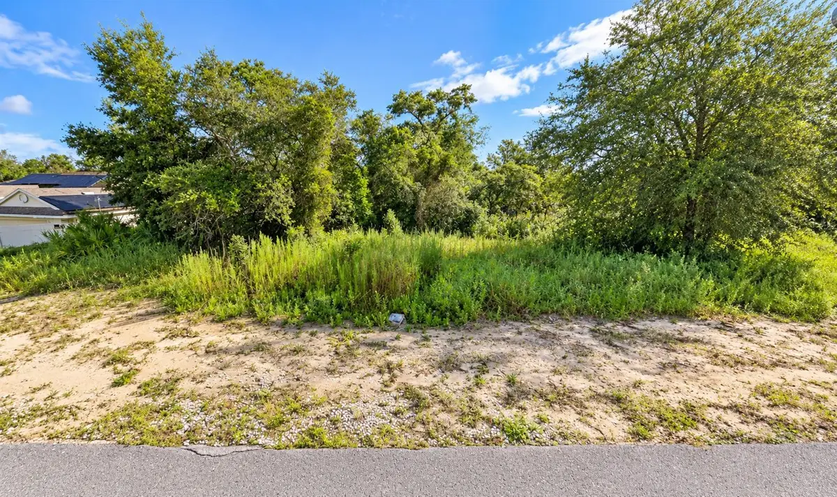 12501 Centennial Street, Spring Hill, FL 34609 - #1