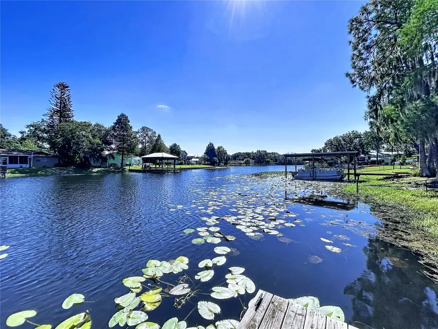 3202 Pine Shadow Drive, Land O Lakes, FL 34639 - #3