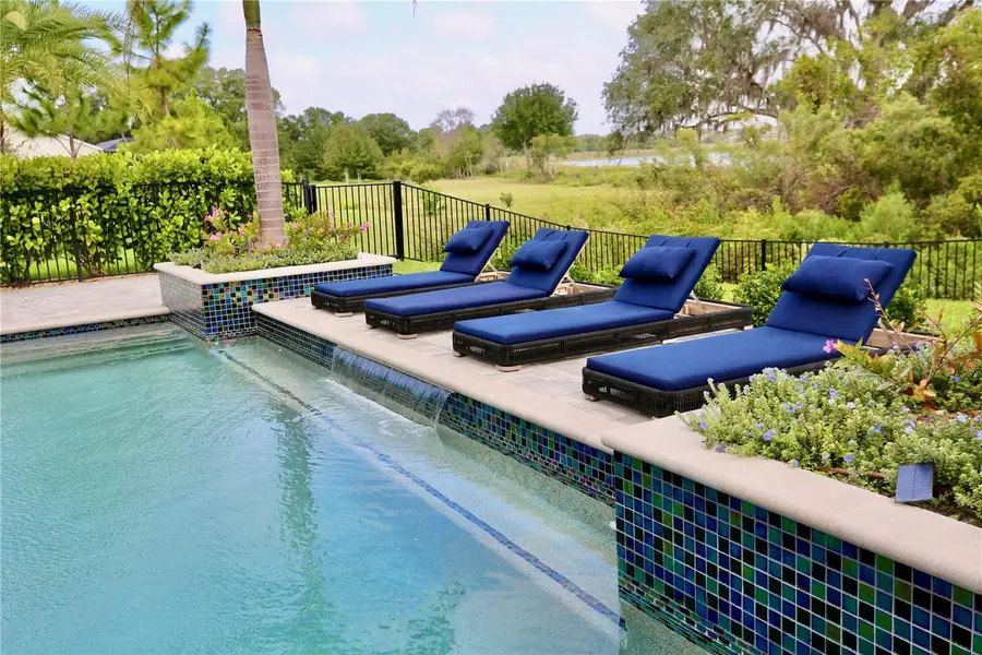 19792 Augusta Preserve Drive, Lutz, FL 33549 - #2