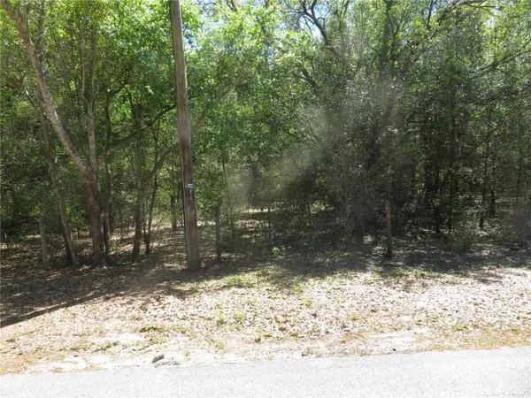 Florida Avenue, SAN ANTONIO, FL 33576
