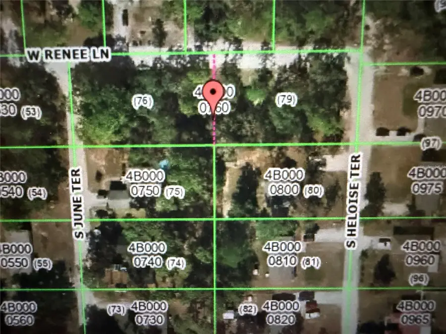 5295 S June Terrace, Homosassa, FL 34446 - #3