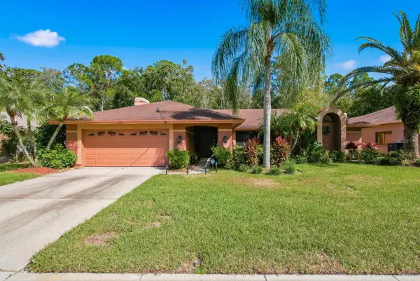 537 Centerwood Drive, TARPON SPRINGS, FL 34688