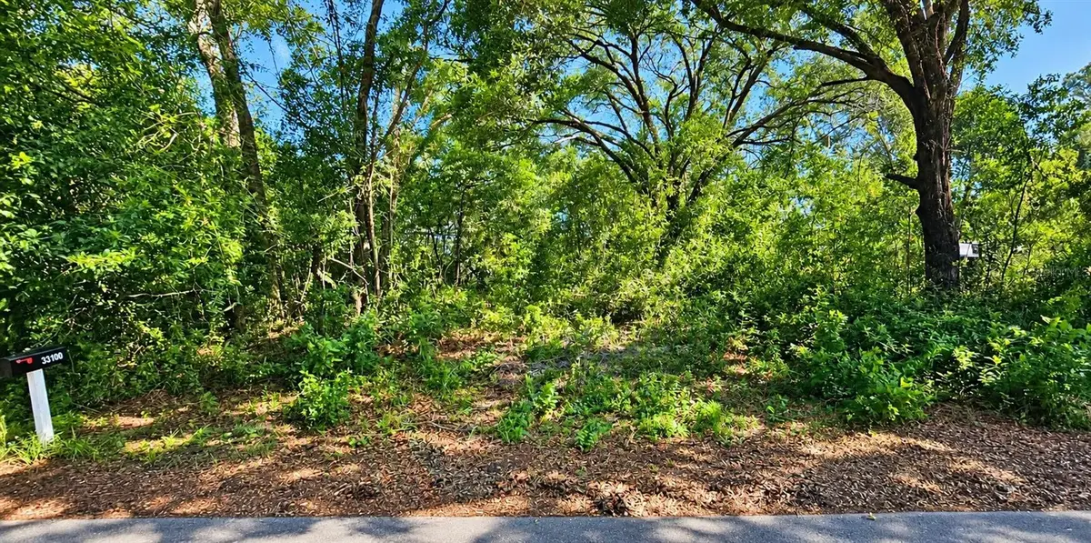 LOT 13 Patrice Road, Dade City, FL 33523 - #1