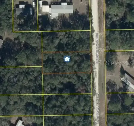 NE 141st Avenue, Williston, FL 32696 - #1
