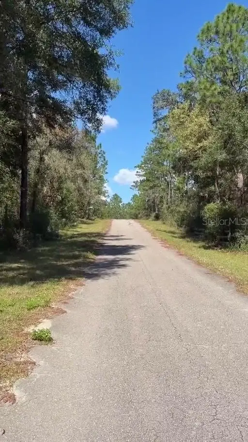 NE 13th Lane, Williston, FL 32696 - #3