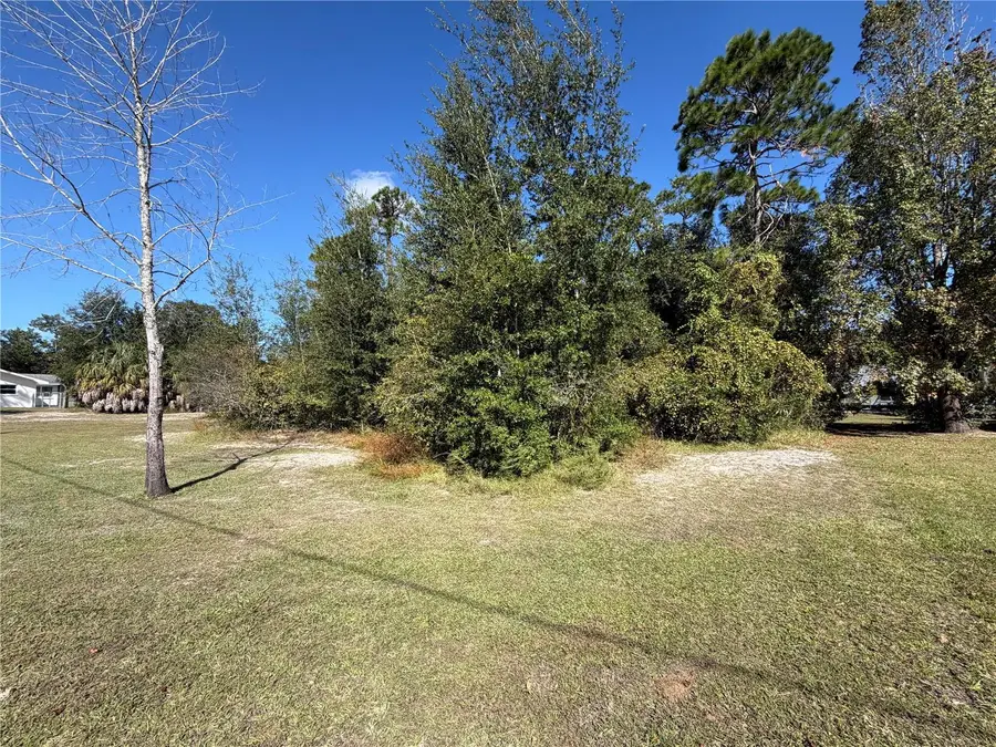 8181 Barry Court, Homosassa, FL 34446 - #2