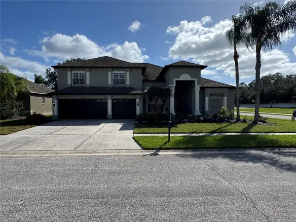 20802 Lake Talia Boulevard, LAND O LAKES, FL 34638