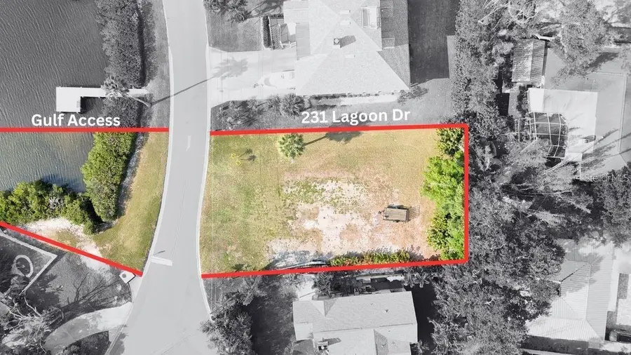 231 Lagoon Drive, Palm Harbor, FL 34683 - #3