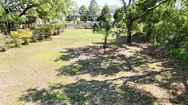 429 St Louis Avenue, PALM HARBOR, FL 34683
