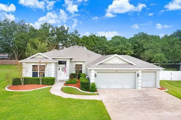 4810 Water Lark Way, VALRICO, FL 33596