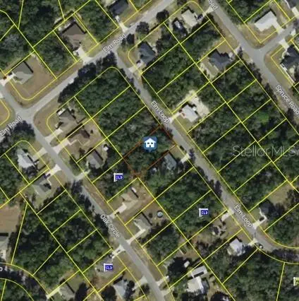 Elm Loop, OCALA, FL 34470