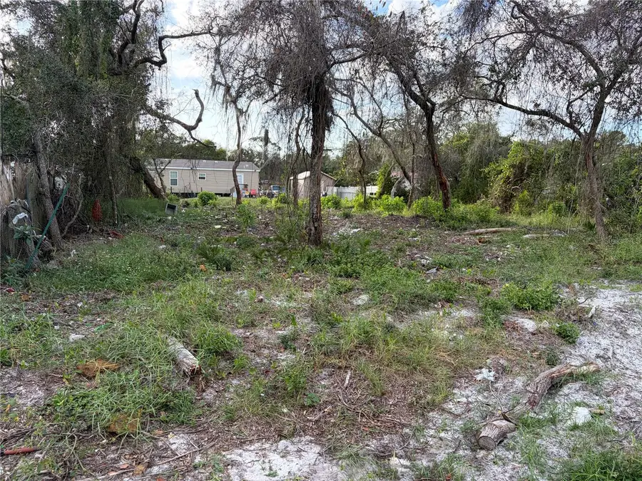 Windel Street, New Port Richey, FL 34654 - #3