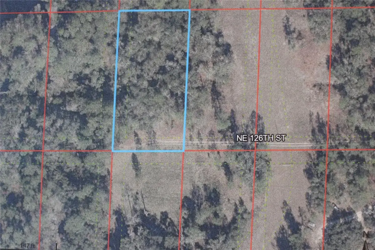 Ne 128th Lane, Chiefland, FL 32626 - #1