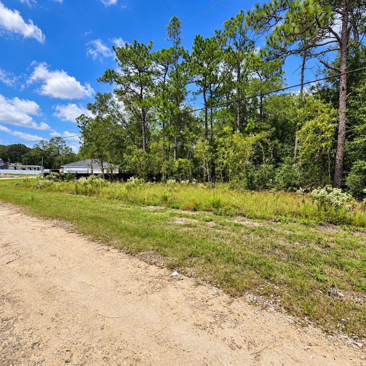 LOT 20 SW 142nd Court, Ocala, FL 34481 - #1