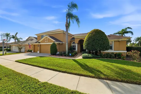 5113 Coopers Hawk Court, VALRICO, FL 33596