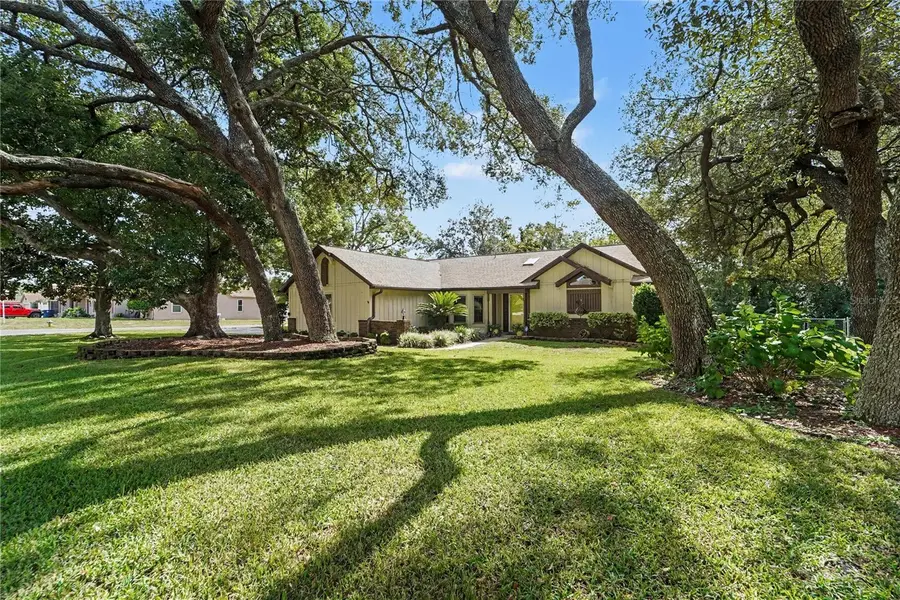 4383 Mt Pleasant Avenue, Spring Hill, FL 34609 - #2