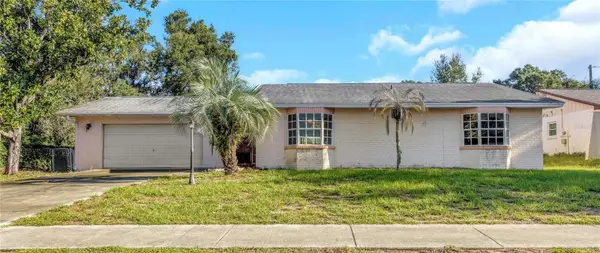 406 Dewolf Road, BRANDON, FL 33511