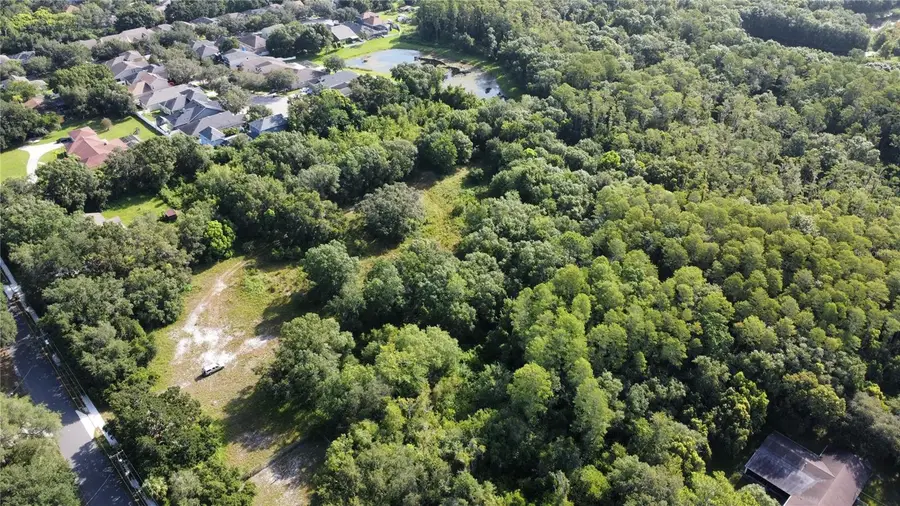 0 Cain Road, Tampa, FL 33625 - Image #3