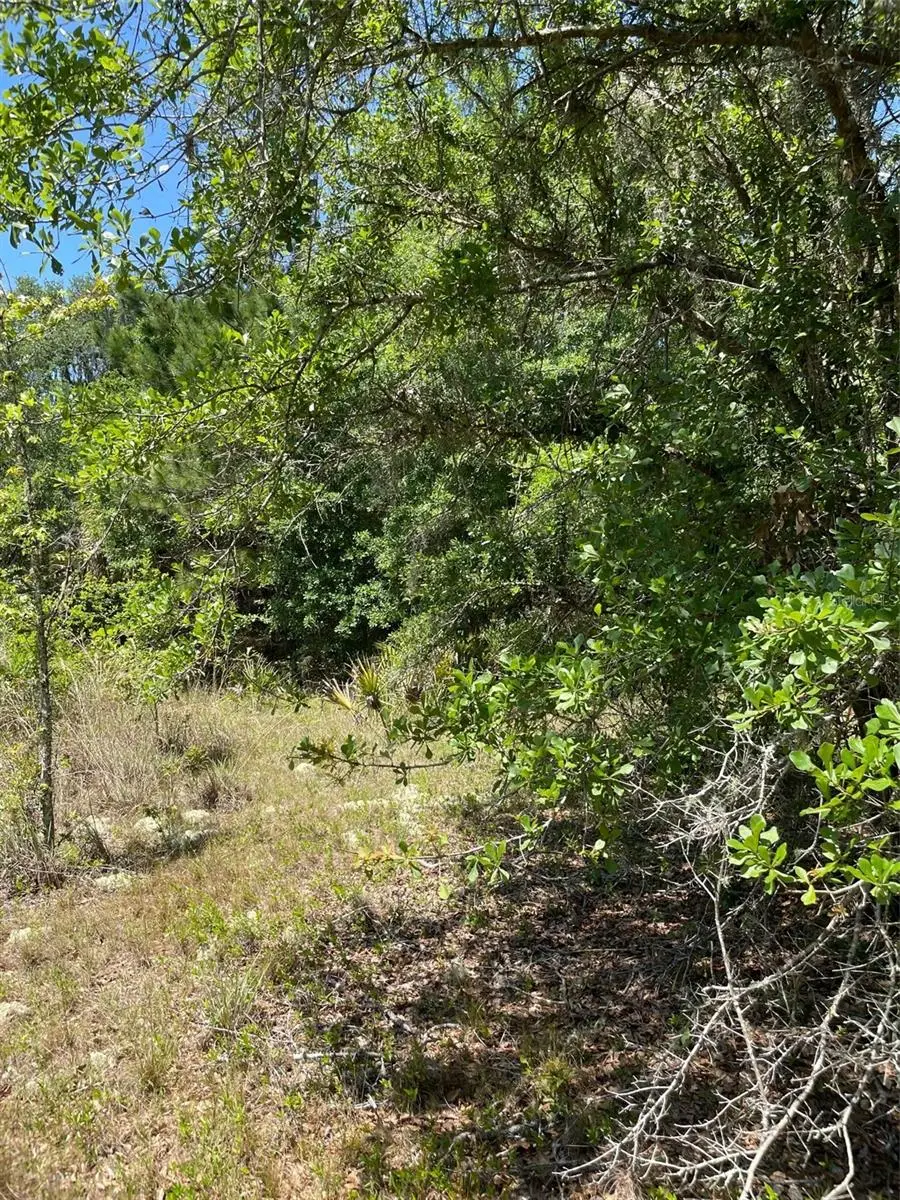 9368 E Riveroak Lane, Inverness, FL 34453 - Image #3