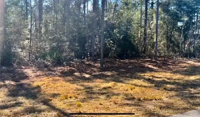 9719 N Deltona Boulevard, Citrus Springs, FL 34434 - Image #3