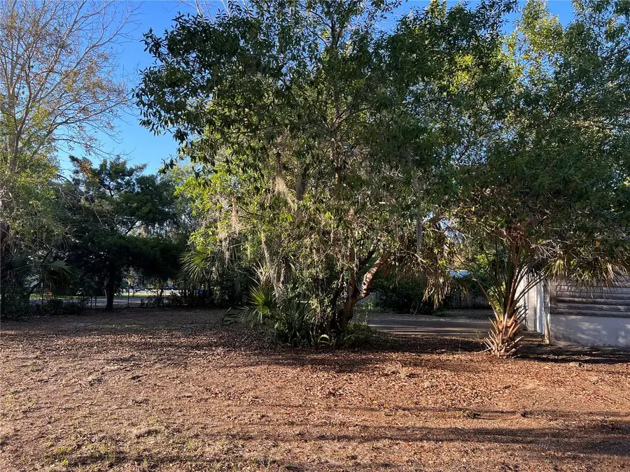 N Mayo Street, Crystal Beach, FL 34681 - Image #3