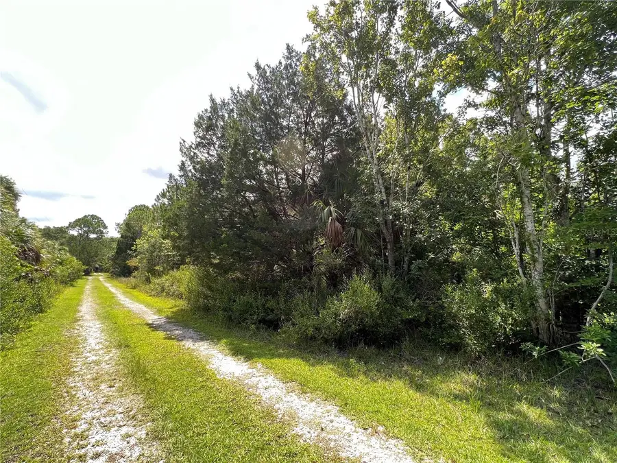 TBD Girard Road, Aripeka, FL 34679 - Image #2