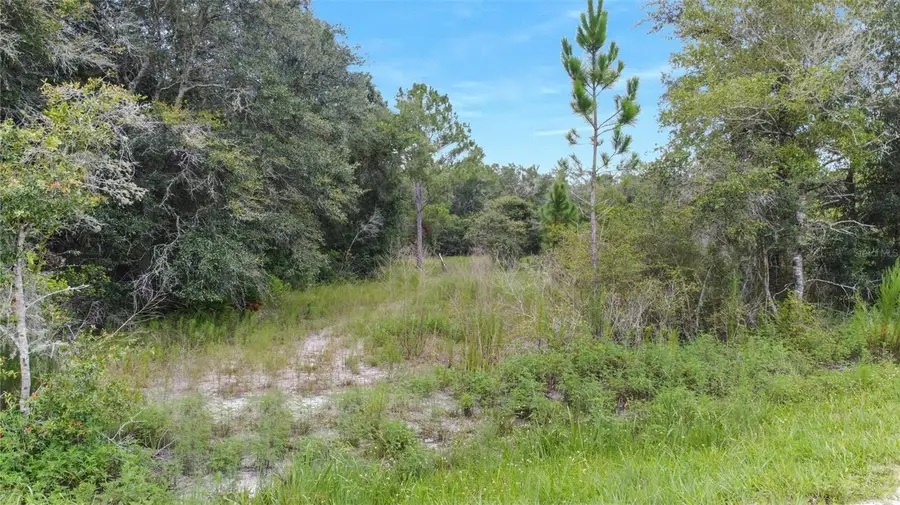33455 Berryhill Drive, Webster, FL 33597 - Image #2