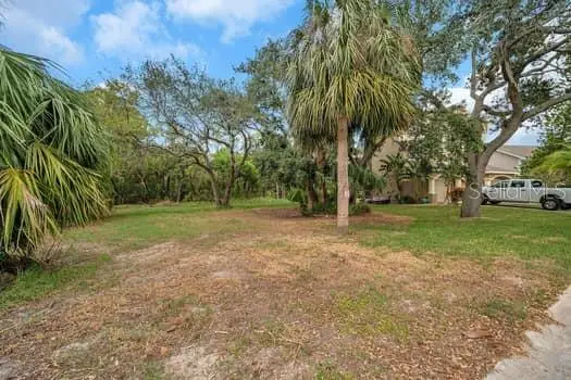 Brightwaters Court, New Port Richey, FL 34652 - Image #3