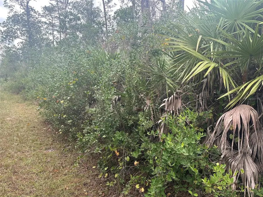 1106 Greenbriar Drive, Christmas, FL 32709 - Image #3