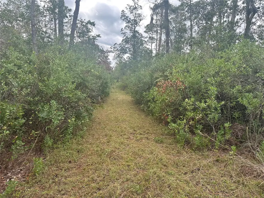 1112 Greenbriar Drive, Christmas, FL 32709 - Image #3