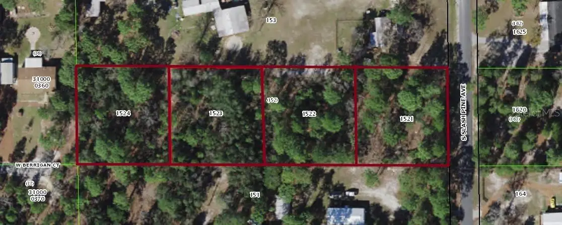 S Slash Pine Avenue, Homosassa, FL 34446 - Image #1