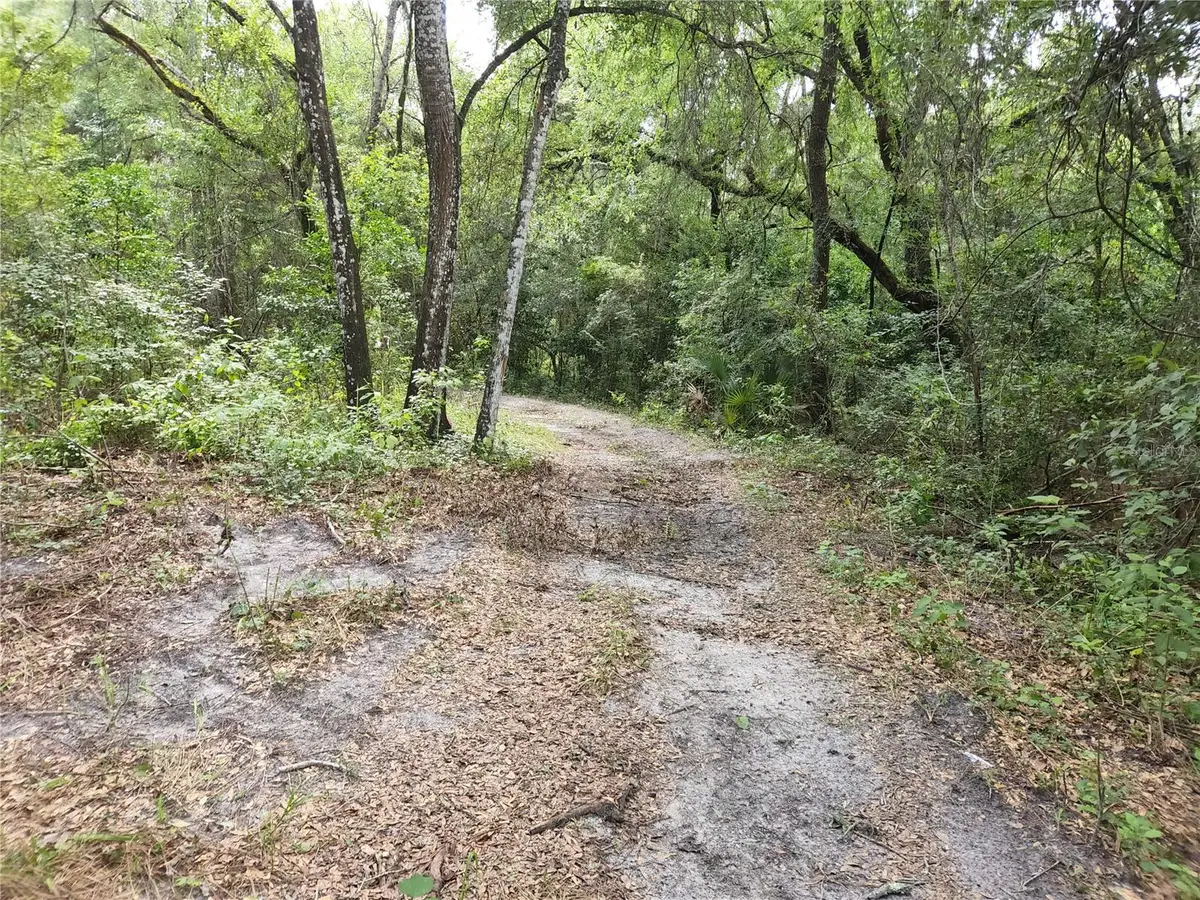 17454 Us 41, Spring Hill, FL 34610 - Image #1